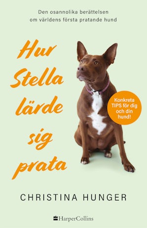 Hur Stella lärde sig prata book image